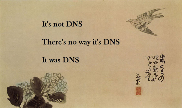 Alyways DNS